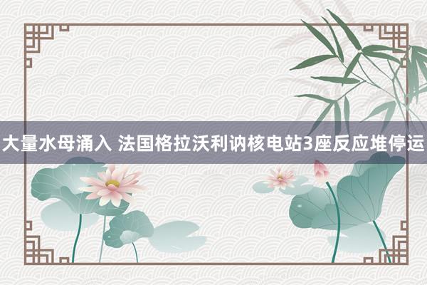 大量水母涌入 法国格拉沃利讷核电站3座反应堆停运