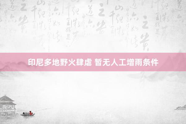 印尼多地野火肆虐 暂无人工增雨条件