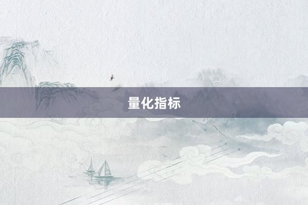 量化指标