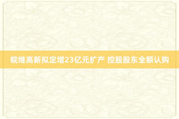皖维高新拟定增23亿元扩产 控股股东全额认购