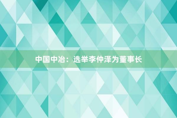 中国中冶：选举李仲泽为董事长