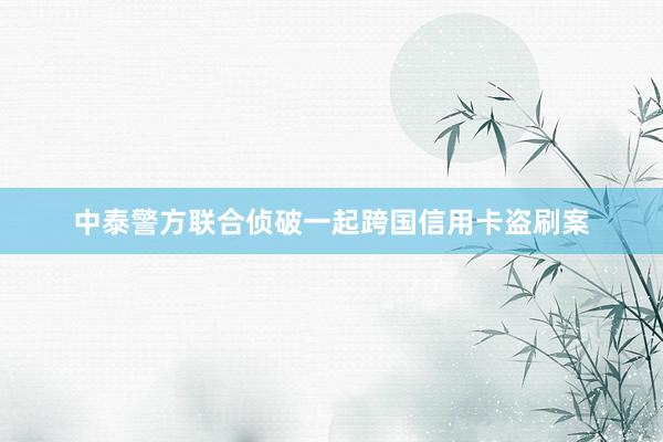 中泰警方联合侦破一起跨国信用卡盗刷案