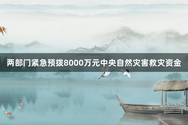 两部门紧急预拨8000万元中央自然灾害救灾资金