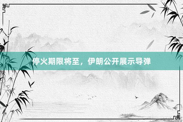 停火期限将至，伊朗公开展示导弹