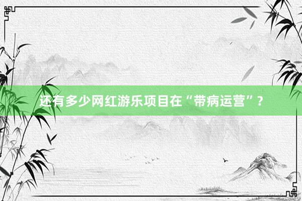 还有多少网红游乐项目在“带病运营”？