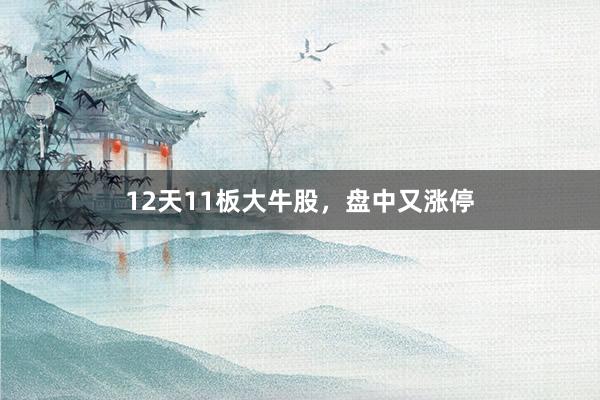 12天11板大牛股，盘中又涨停