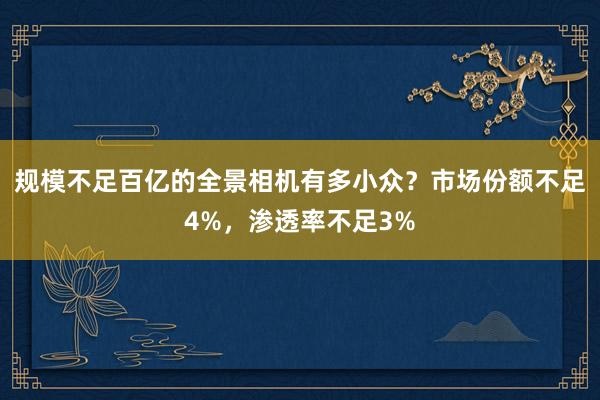 规模不足百亿的全景相机有多小众？市场份额不足4%，渗透率不足3%