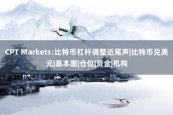 CPT Markets:比特币杠杆调整近尾声|比特币兑美元|基本面|仓位|资金|机构