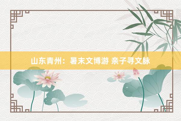 山东青州：暑末文博游 亲子寻文脉
