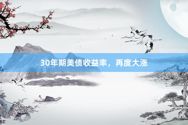 30年期美债收益率，再度大涨