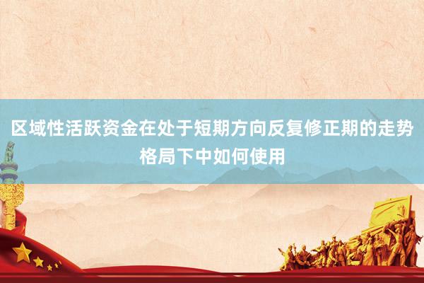 区域性活跃资金在处于短期方向反复修正期的走势格局下中如何使用