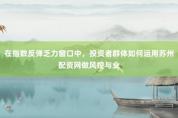 在指数反弹乏力窗口中，投资者群体如何运用苏州配资网做风控与业