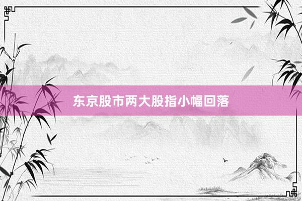 东京股市两大股指小幅回落