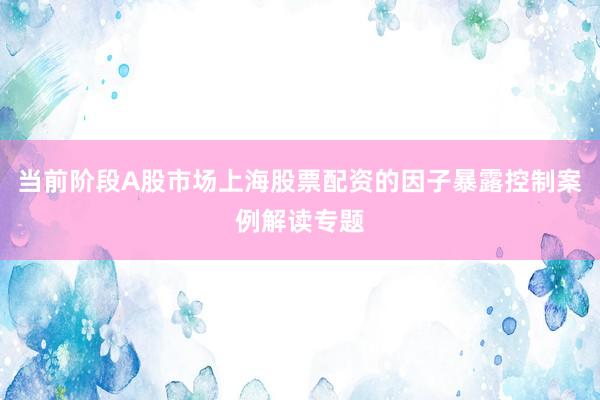 当前阶段A股市场上海股票配资的因子暴露控制案例解读专题