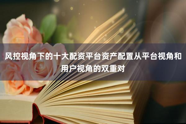 风控视角下的十大配资平台资产配置从平台视角和用户视角的双重对