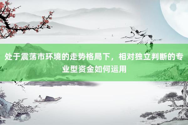 处于震荡市环境的走势格局下，相对独立判断的专业型资金如何运用