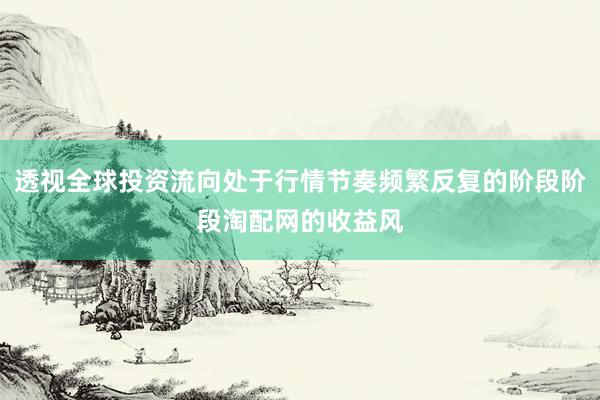透视全球投资流向处于行情节奏频繁反复的阶段阶段淘配网的收益风