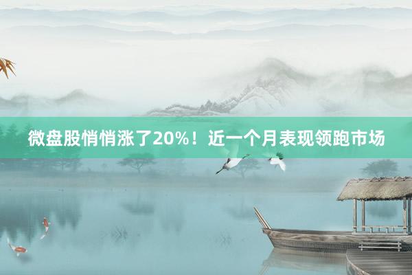 微盘股悄悄涨了20%！近一个月表现领跑市场