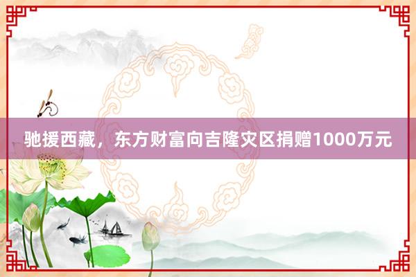 驰援西藏，东方财富向吉隆灾区捐赠1000万元