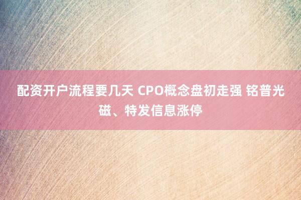配资开户流程要几天 CPO概念盘初走强 铭普光磁、特发信息涨停