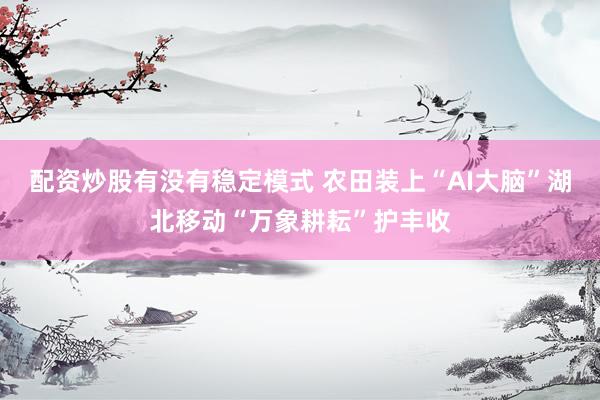 配资炒股有没有稳定模式 农田装上“AI大脑”湖北移动“万象耕耘”护丰收