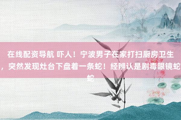 在线配资导航 吓人！宁波男子在家打扫厨房卫生，突然发现灶台下盘着一条蛇！经辨认是剧毒眼镜蛇