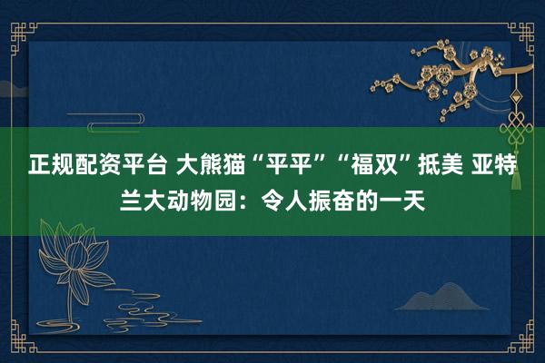 正规配资平台 大熊猫“平平”“福双”抵美 亚特兰大动物园：令人振奋的一天