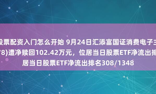 股票配资入门怎么开始 9月24日汇添富国证消费电子主题ETF(159178)遭净赎回102.42万元,位居当日股票ETF净流出排名308/1348