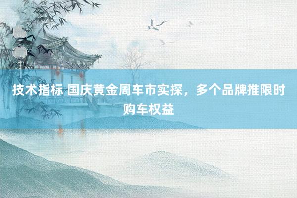 技术指标 国庆黄金周车市实探,多个品牌推限时购车权益