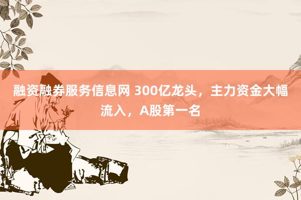 融资融券服务信息网 300亿龙头，主力资金大幅流入，A股第一名