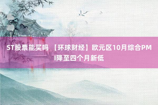 ST股票能买吗 【环球财经】欧元区10月综合PMI降至四个月新低