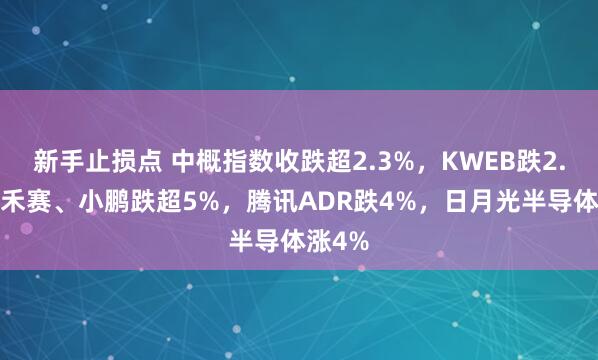 新手止损点 中概指数收跌超2.3%，KWEB跌2.5%，禾赛、小鹏跌超5%，腾讯ADR跌4%，日月光半导体涨4%